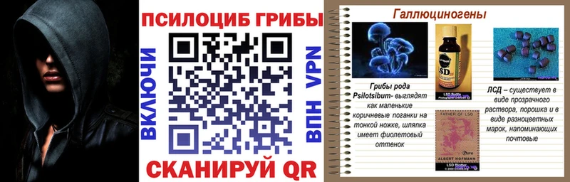 где купить наркоту Костерёво Псилоцибиновые грибы мицелий